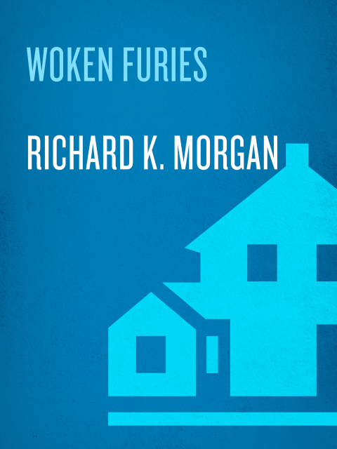 Cover image for book Woken Furies