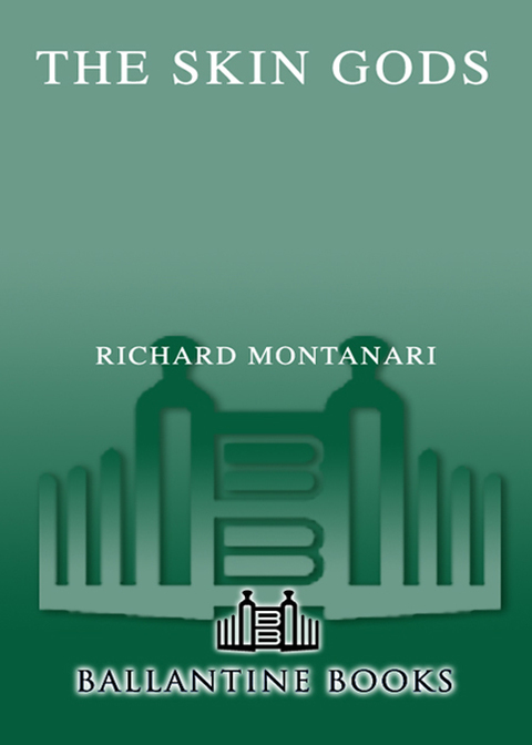 Cover image for book The Skin Gods