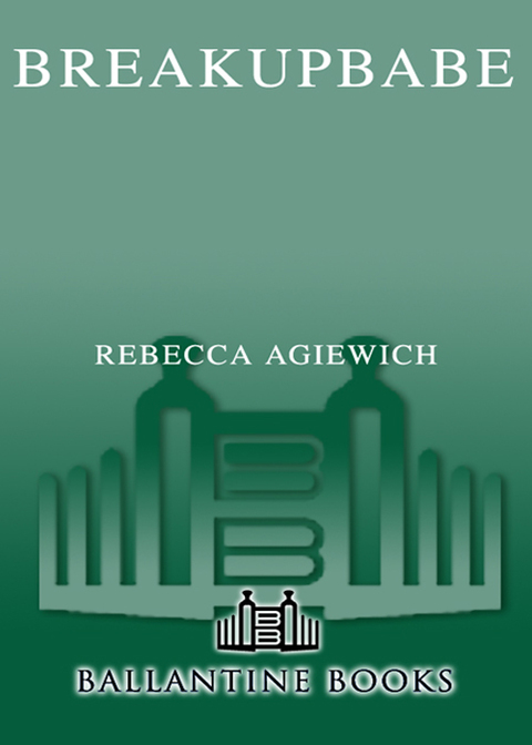 Cover image for book BreakupBabe