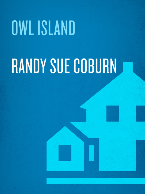 Cover image for book Owl Island