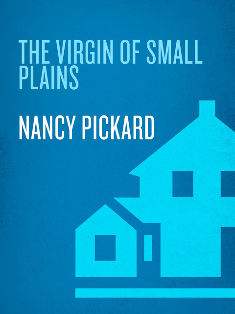 Cover image for book The Virgin of Small Plains