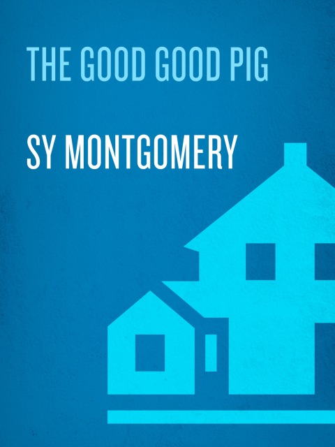 Cover image for book The Good Good Pig