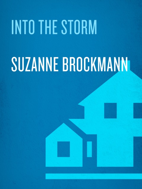 Cover image for book Into the Storm
