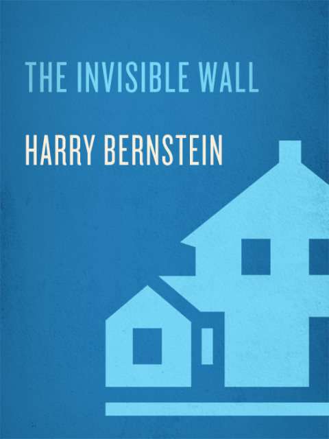 Cover image for book The Invisible Wall