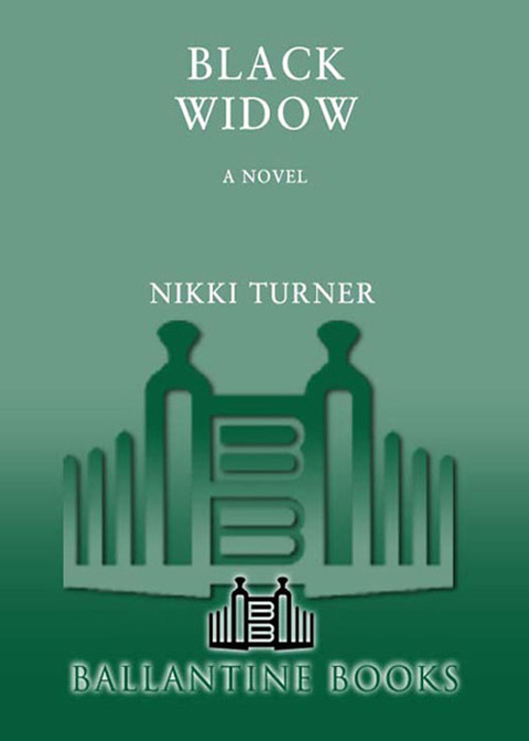 Cover image for book Black Widow