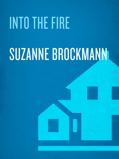 Cover image for book Into the Fire