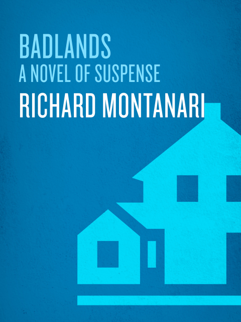 Cover image for book Badlands