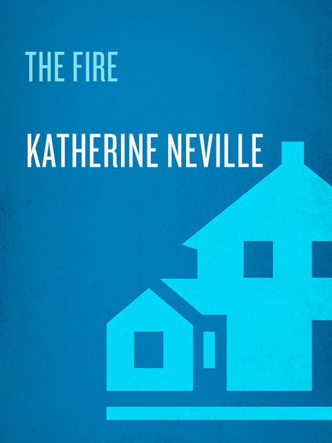 Cover image for book The Fire