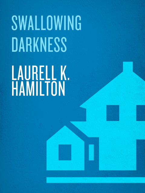 Cover image for book Swallowing Darkness