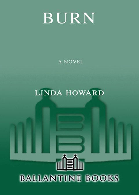 Cover image for book Burn