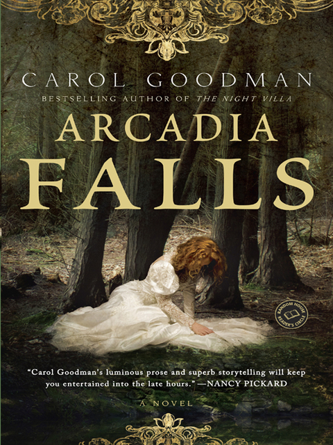 Cover image for book Arcadia Falls