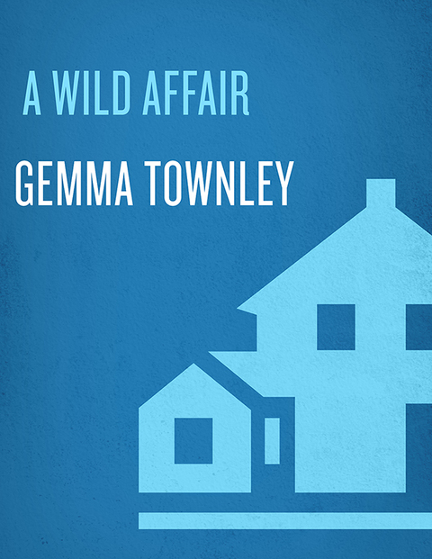 Cover image for book A Wild Affair