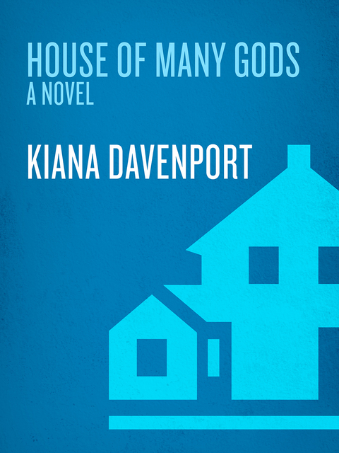 Cover image for book House of Many Gods