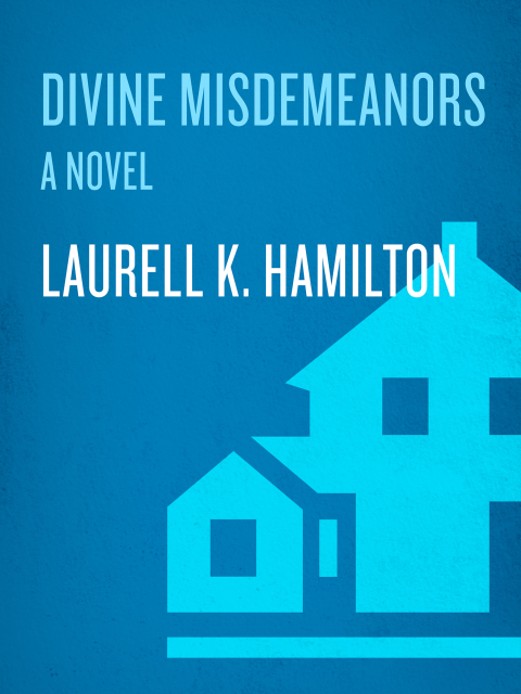 Cover image for book Divine Misdemeanors