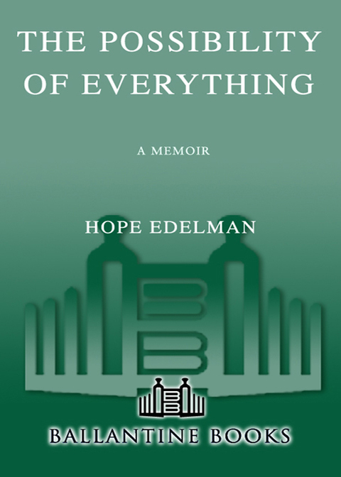 Cover image for book The Possibility of Everything