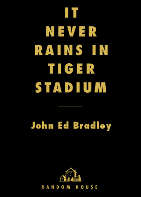 Cover image for book It Never Rains in Tiger Stadium