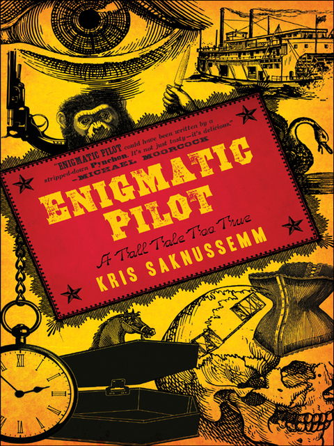 Cover image for book Enigmatic Pilot