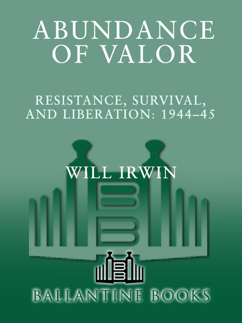 Cover image for book Abundance of Valor