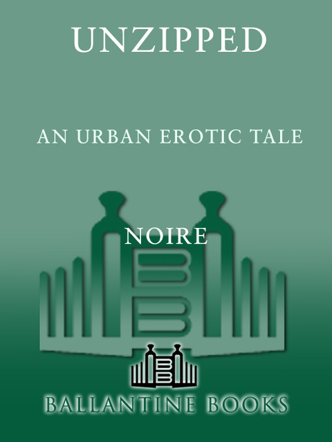 Cover image for book Unzipped