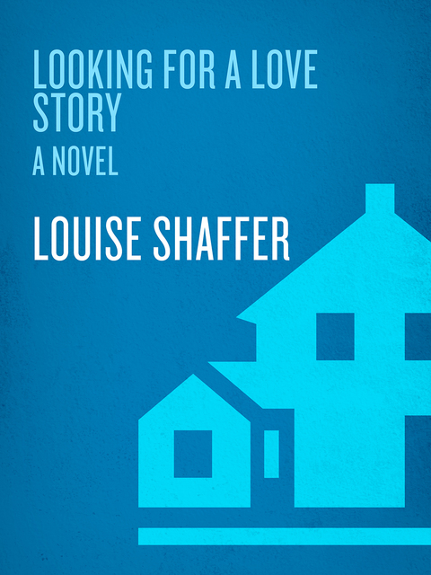 Cover image for book Looking for a Love Story