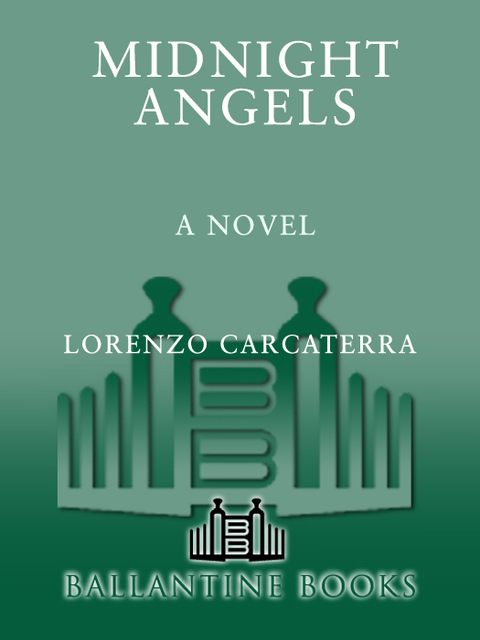 Cover image for book Midnight Angels