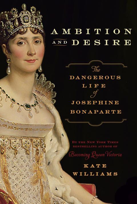 Cover image for book Ambition and Desire