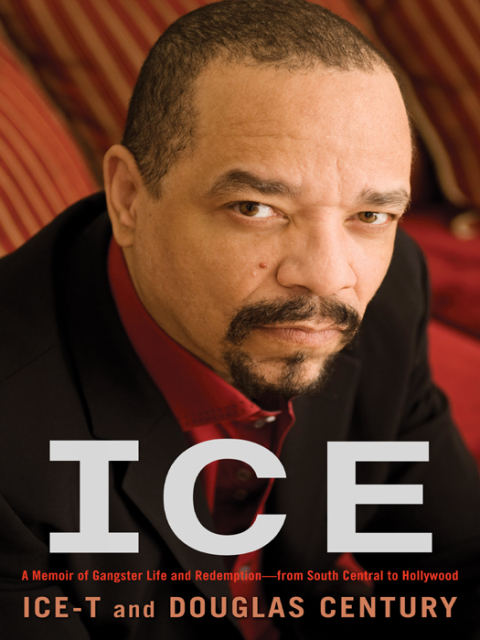Cover image for book Ice