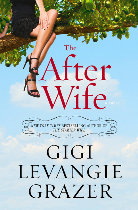 Cover image for book The After Wife