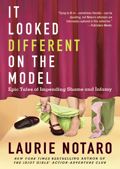 Cover image for book It Looked Different on the Model