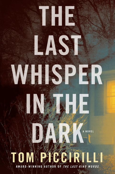 Cover image for book The Last Whisper in the Dark