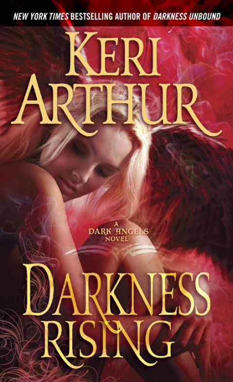 Cover image for book Darkness Rising