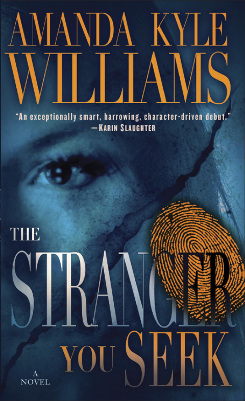 Cover image for book The Stranger You Seek