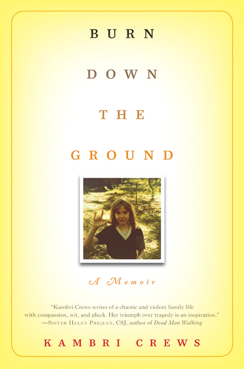 Cover image for book Burn Down the Ground