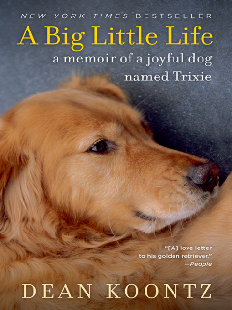 Cover image for book A Big Little Life