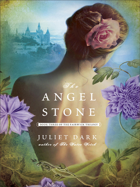 Cover image for book The Angel Stone