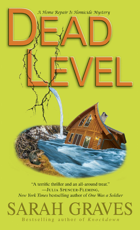 Cover image for book Dead Level