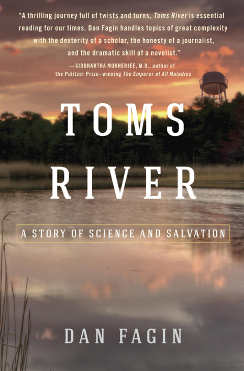 Cover image for book Toms River