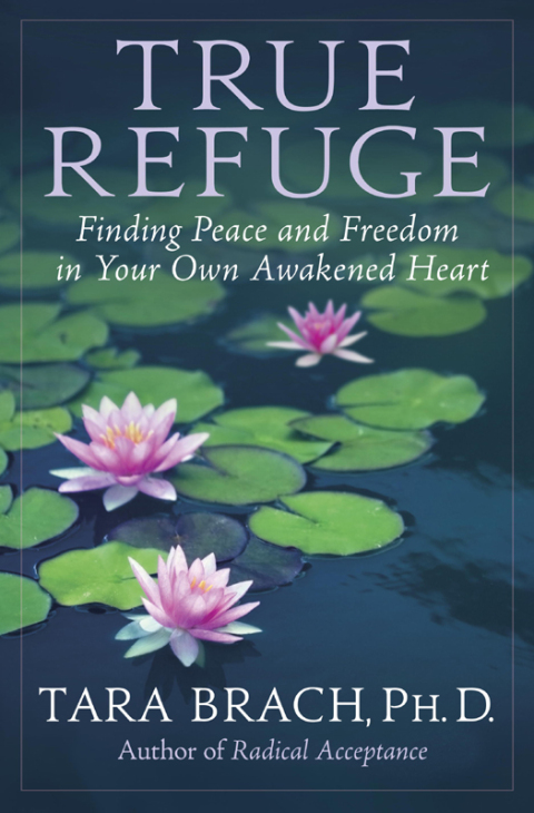 Cover image for book True Refuge