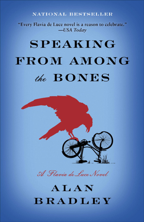 Cover image for book Speaking from Among the Bones