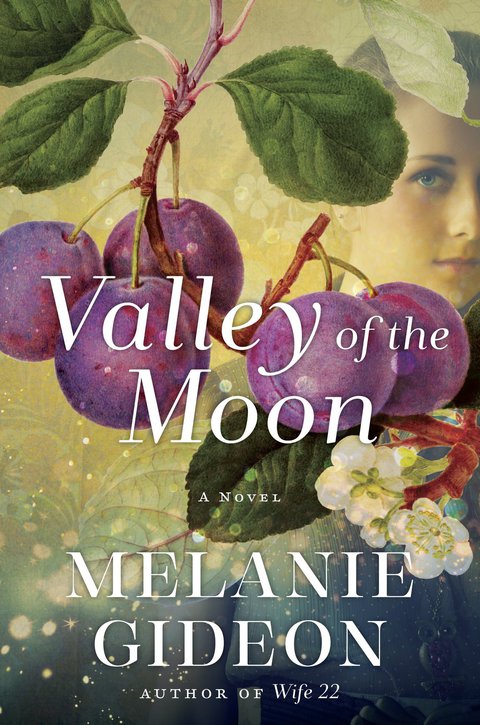 Cover image for book Valley of the Moon