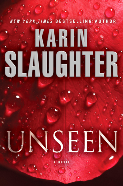 Cover image for book Unseen (with bonus novella "Busted")