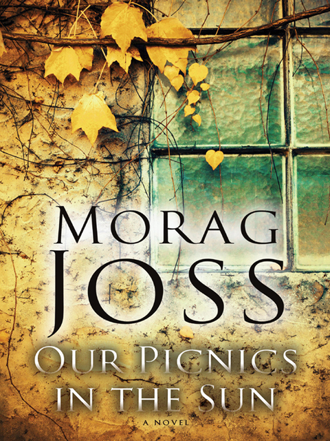 Cover image for book Our Picnics in the Sun
