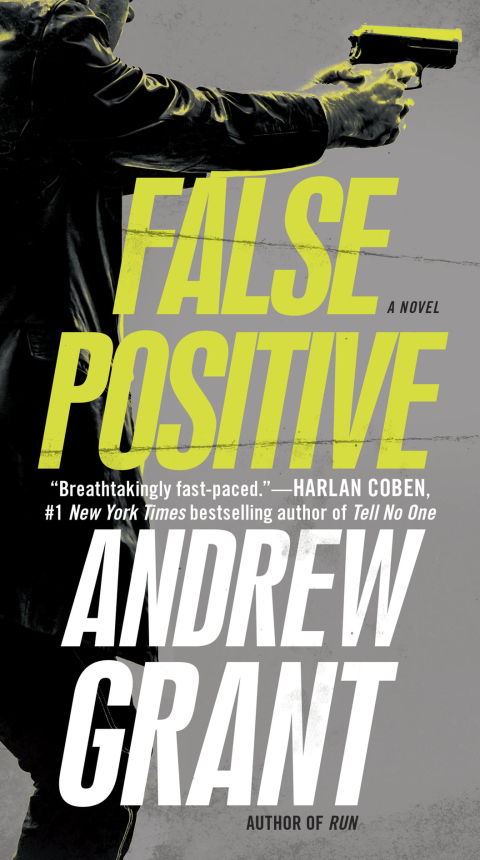 Cover image for book False Positive