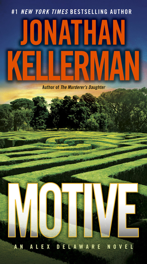 Cover image for book Motive
