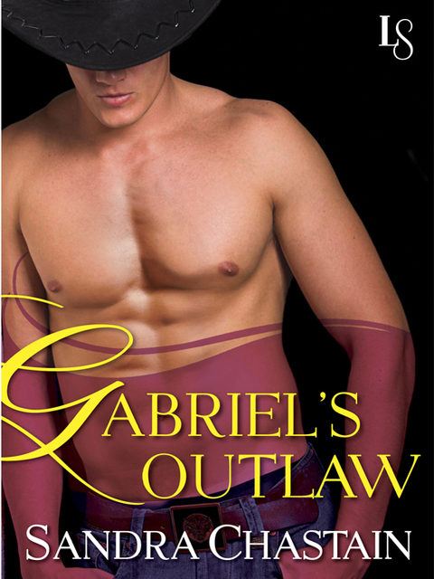 Cover image for book Gabriel's Outlaw