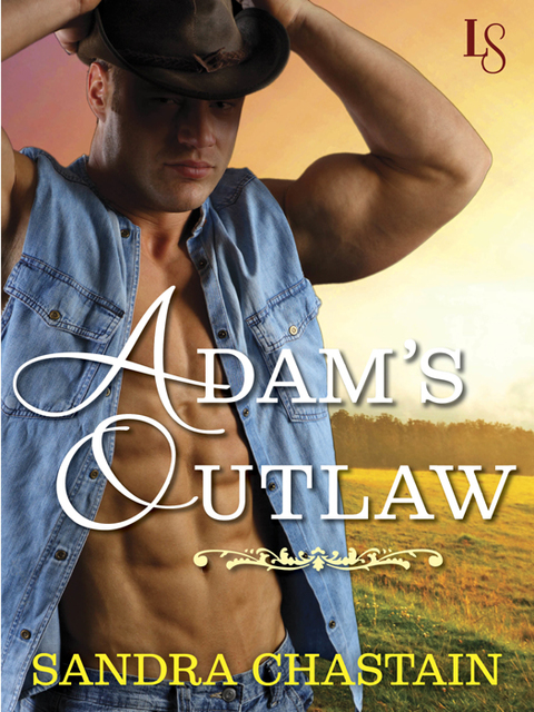 Cover image for book Adam's Outlaw