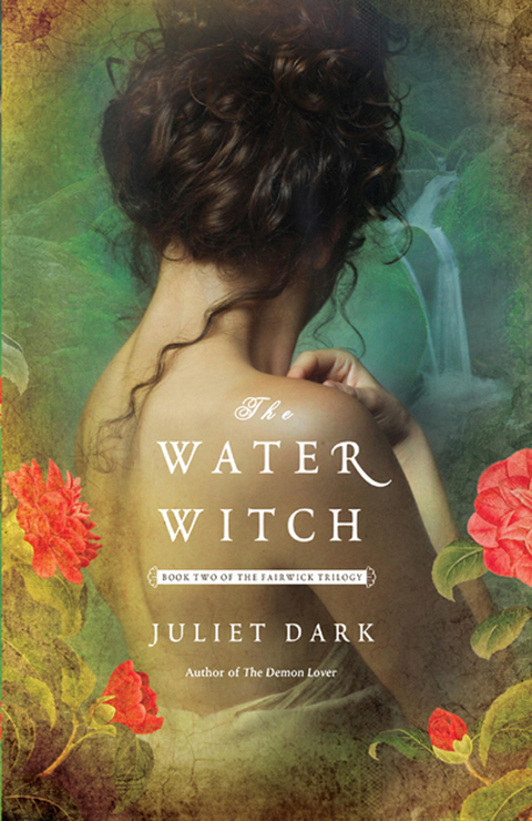 Cover image for book The Water Witch