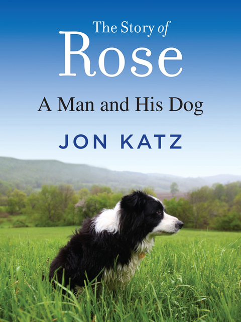 Cover image for book The Story of Rose