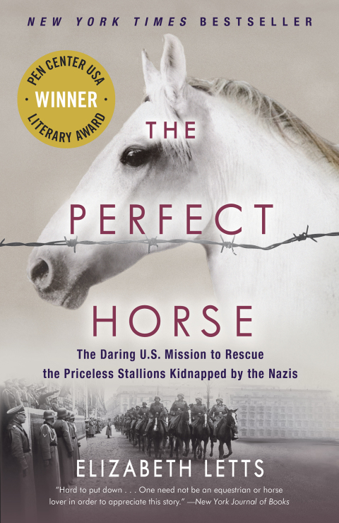 Cover image for book The Perfect Horse