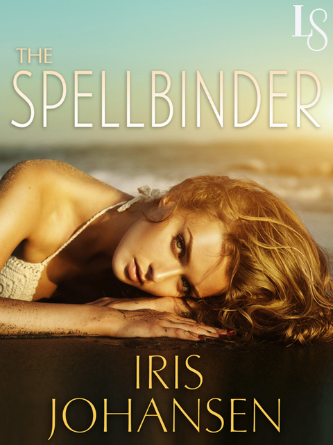 Cover image for book The Spellbinder